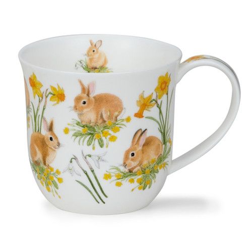 DUNOON Cumbrae Bunnies