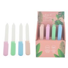 GIBSONS GIFTS Glass Nail File With Case