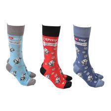 DOG SOCIETY Dalmatian