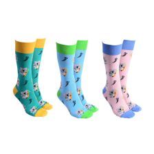SOCK SOCIETY Koala &amp; Baby