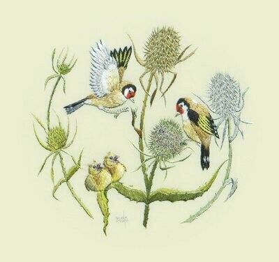 COLCARDS Two Goldfinches Art Greeting Card