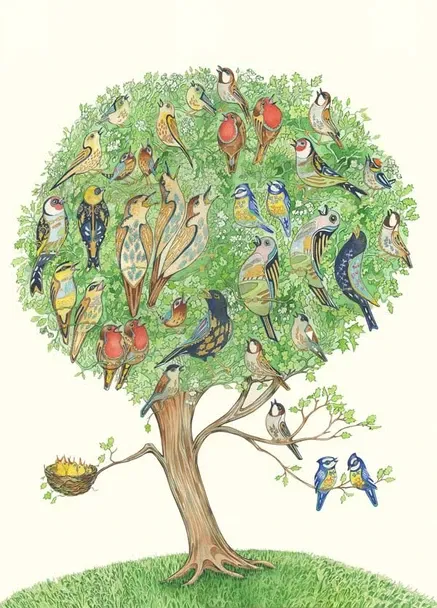 DM COLLECTION Dawn Chorus