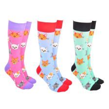 SOCK SOCIETY Cute Cats