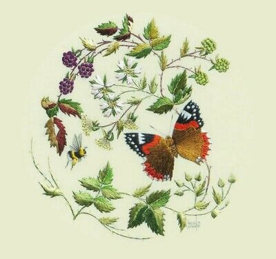COLCARDS Butterfly and Blackberries Art Greeting Card