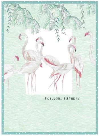CINNAMON AITCH HB- Flamingo - DISC