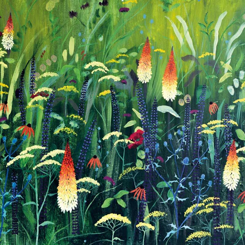 DRY RED PRESS Red Hot Pokers Garden Art Greeting Card