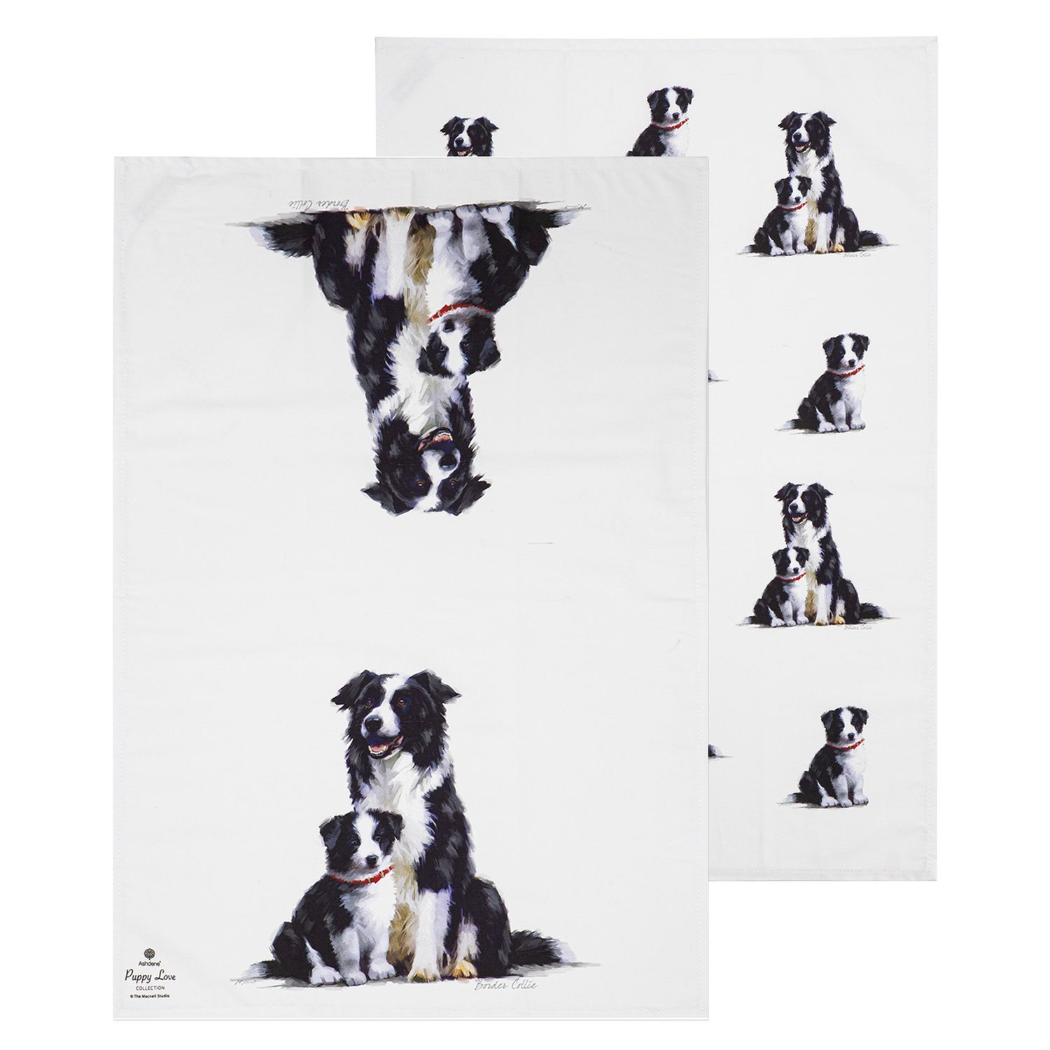 ASHDENE Puppy Love 2pk Kitchen Towel - Border Collie