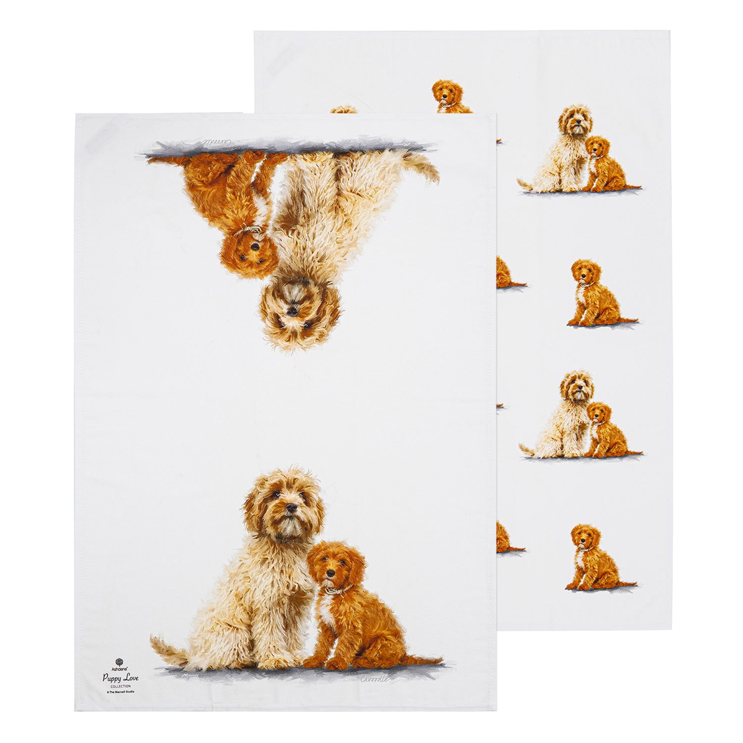 ASHDENE Puppy Love 2pk Kitchen Towel - Cavoodle