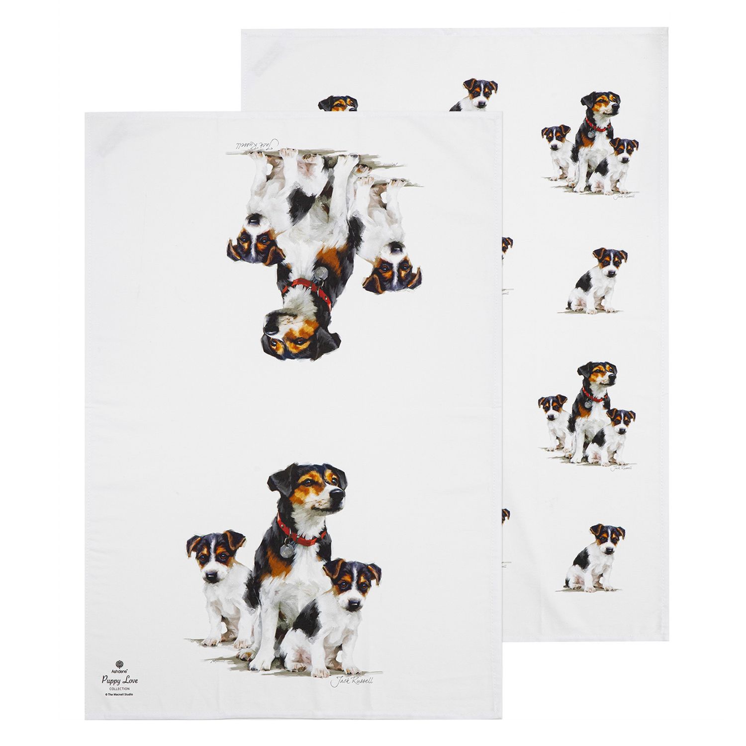 ASHDENE Puppy Love 2pk Kitchen Towel - Jack Russell