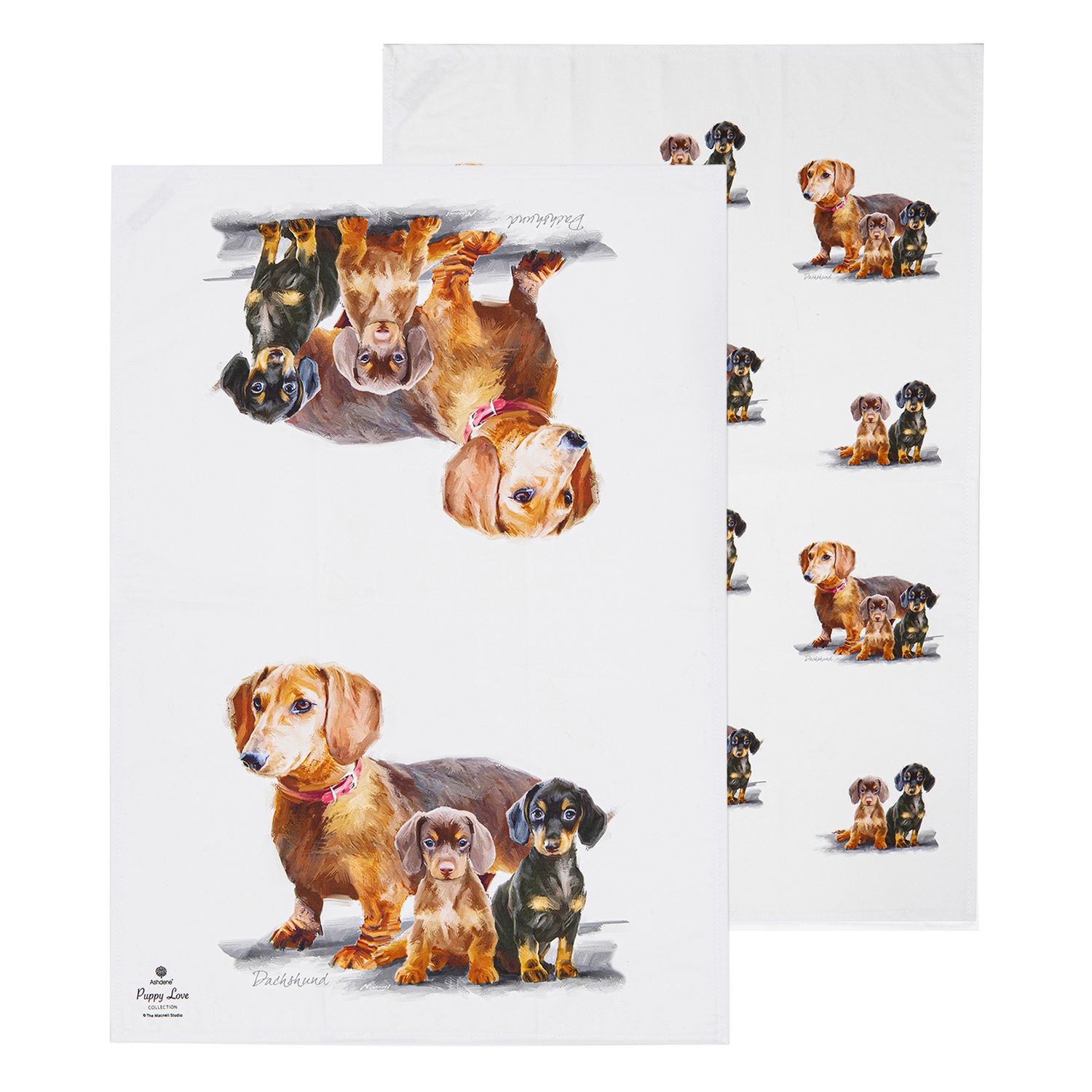 ASHDENE Puppy Love 2pk Kitchen Towel - Dachshund