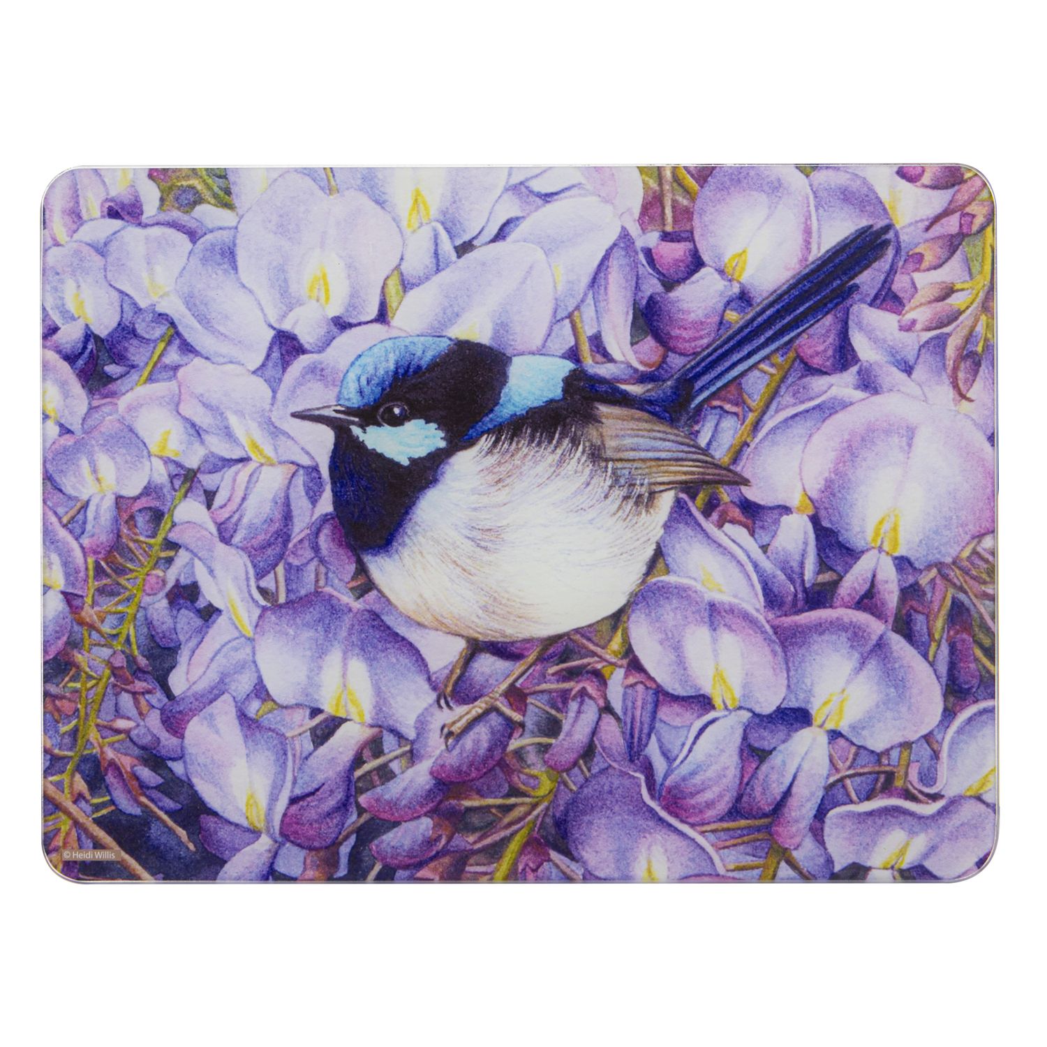 ASHDENE Pretty Little Wren - Surface Protector