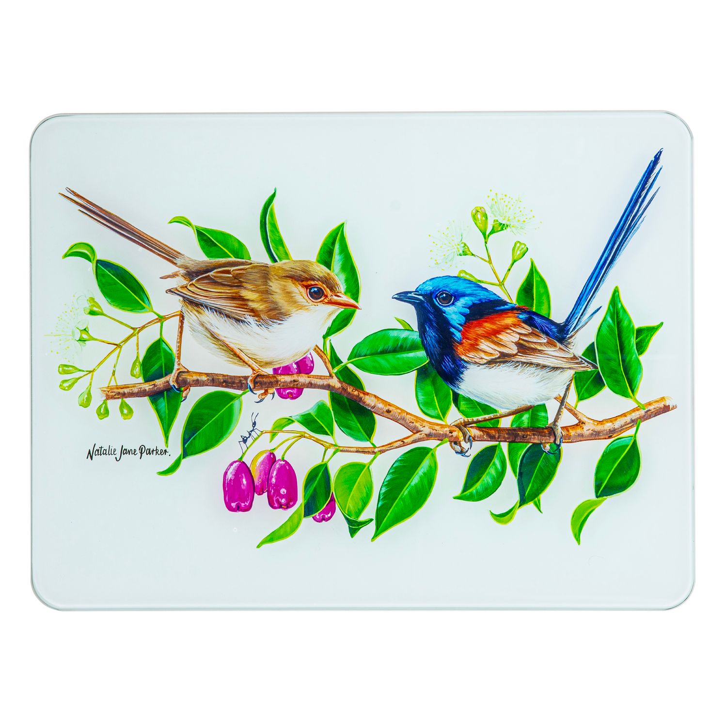 ASHDENE Australian Birds Surface Protector - Fairy Wren