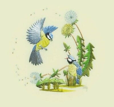 COLCARDS Two Blue Tits Art Greeting Card