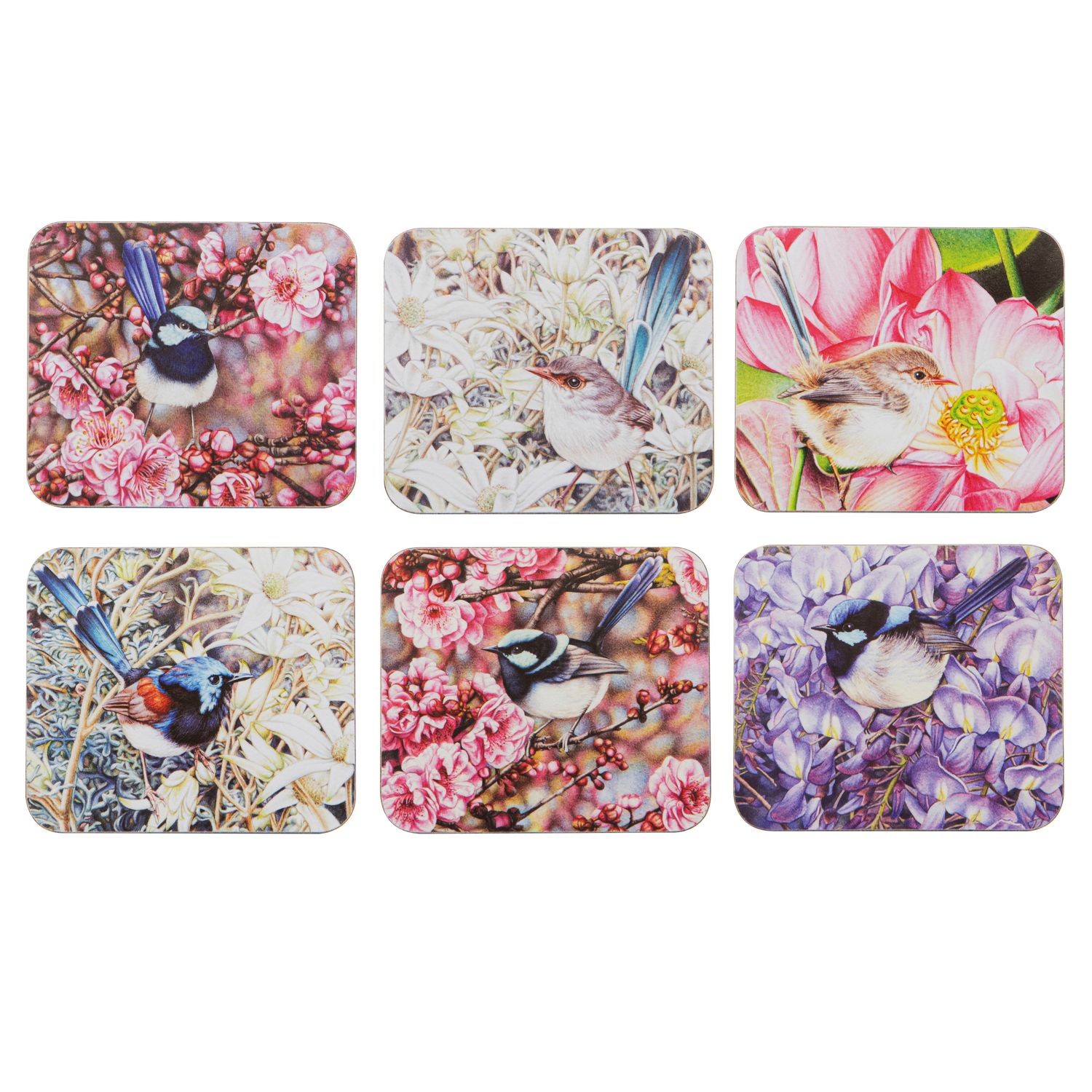 ASHDENE Pretty Little Wren - Coasters 6pk