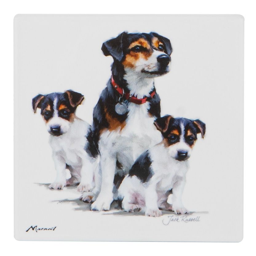 ASHDENE Puppy Love Ceramic Coaster - Jack Russell