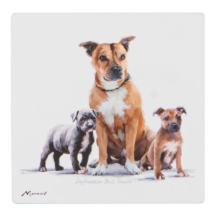 ASHDENE Puppy Love Ceramic Coaster - Staffy Terrier
