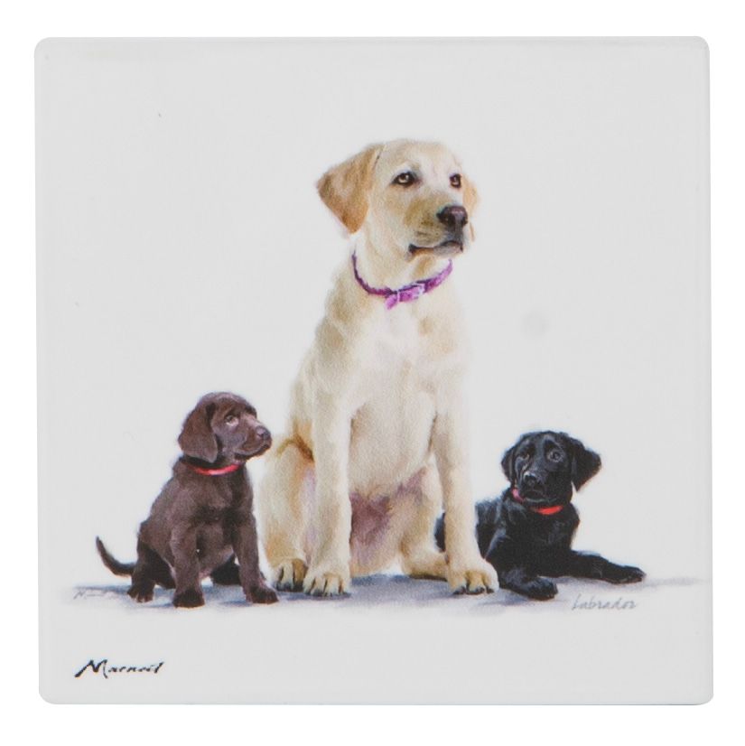 ASHDENE Puppy Love Ceramic Coaster - Labrador