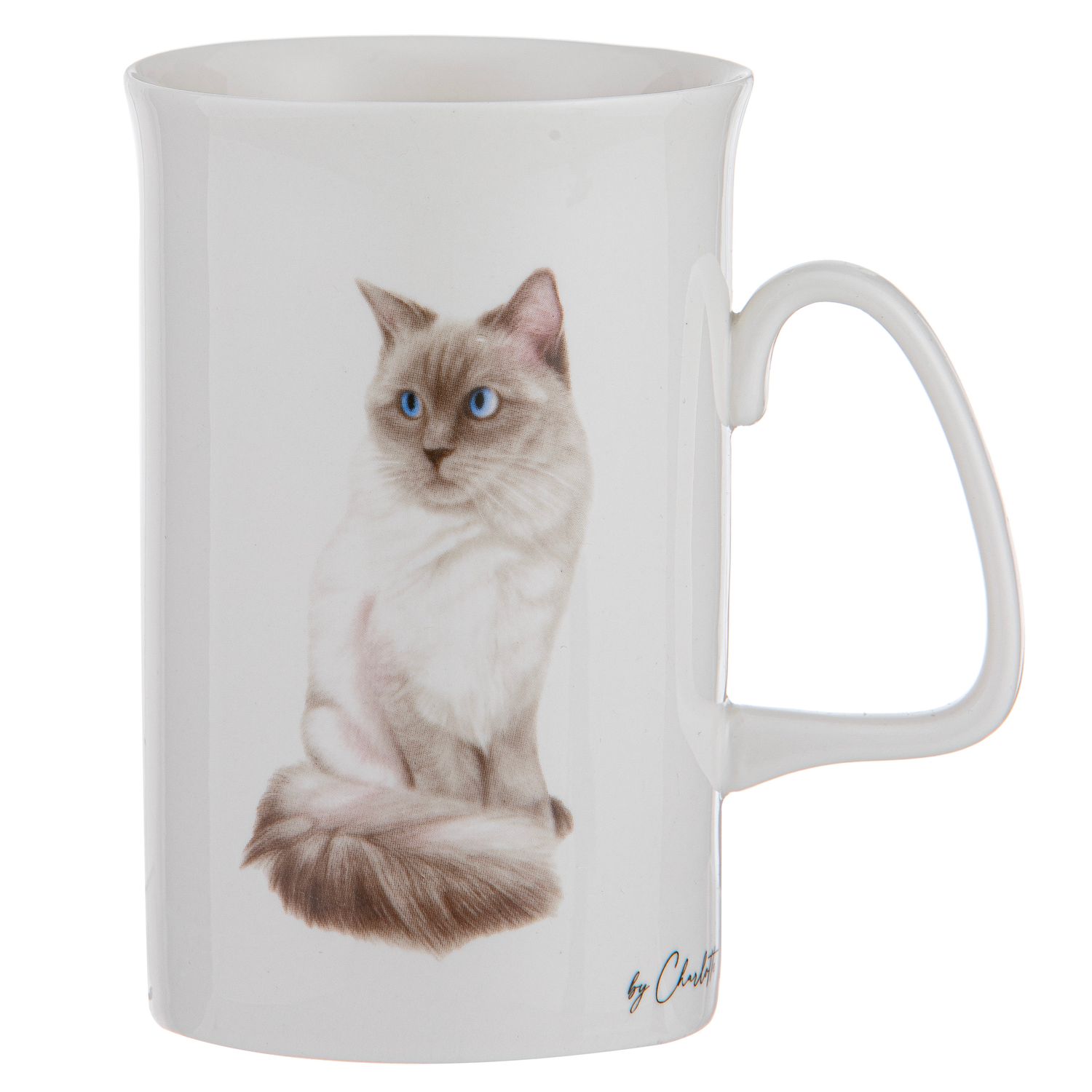 ASHDENE Purrrfect Moments Ragdoll Can Mug
