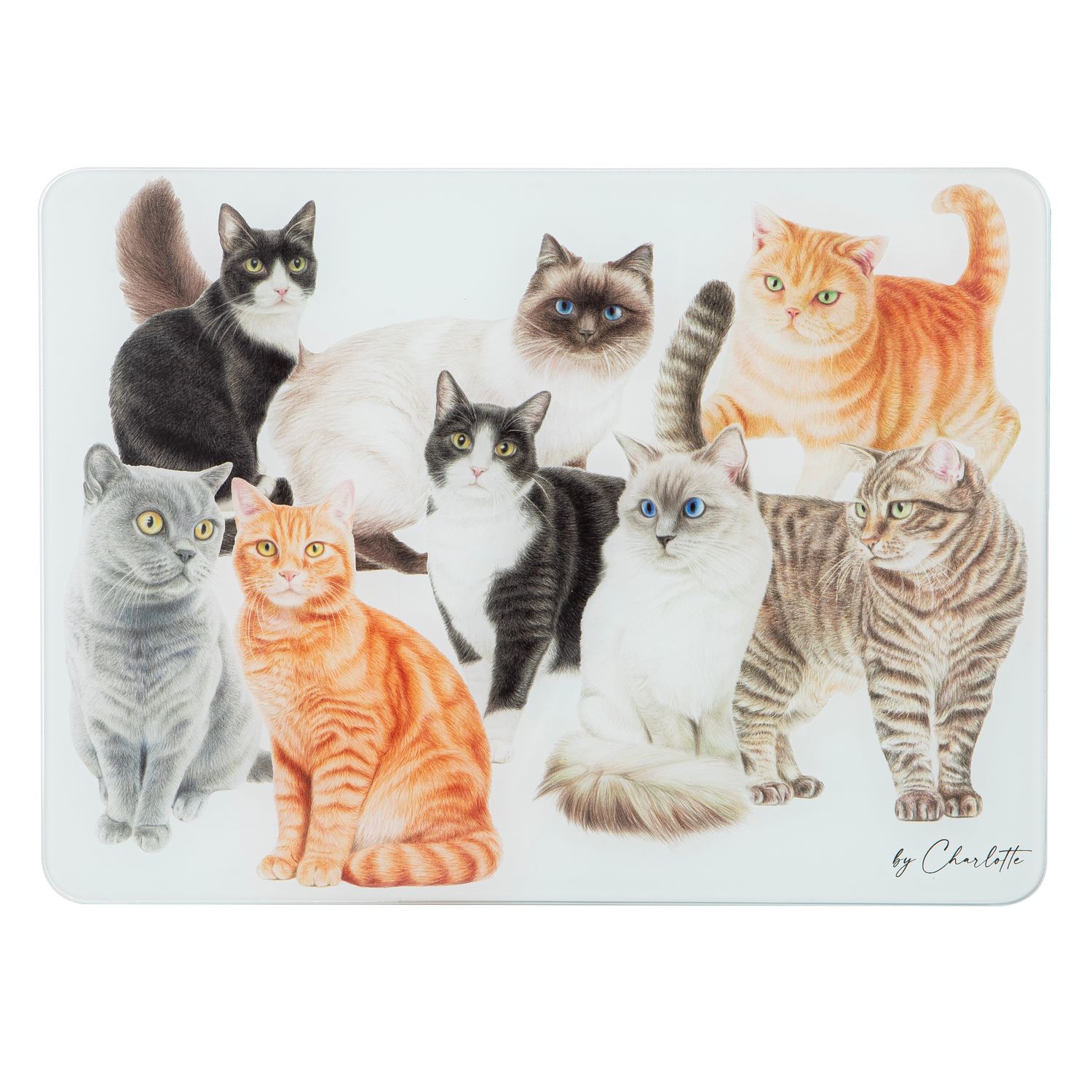 ASHDENE Purrrfect Moments Surface Protector