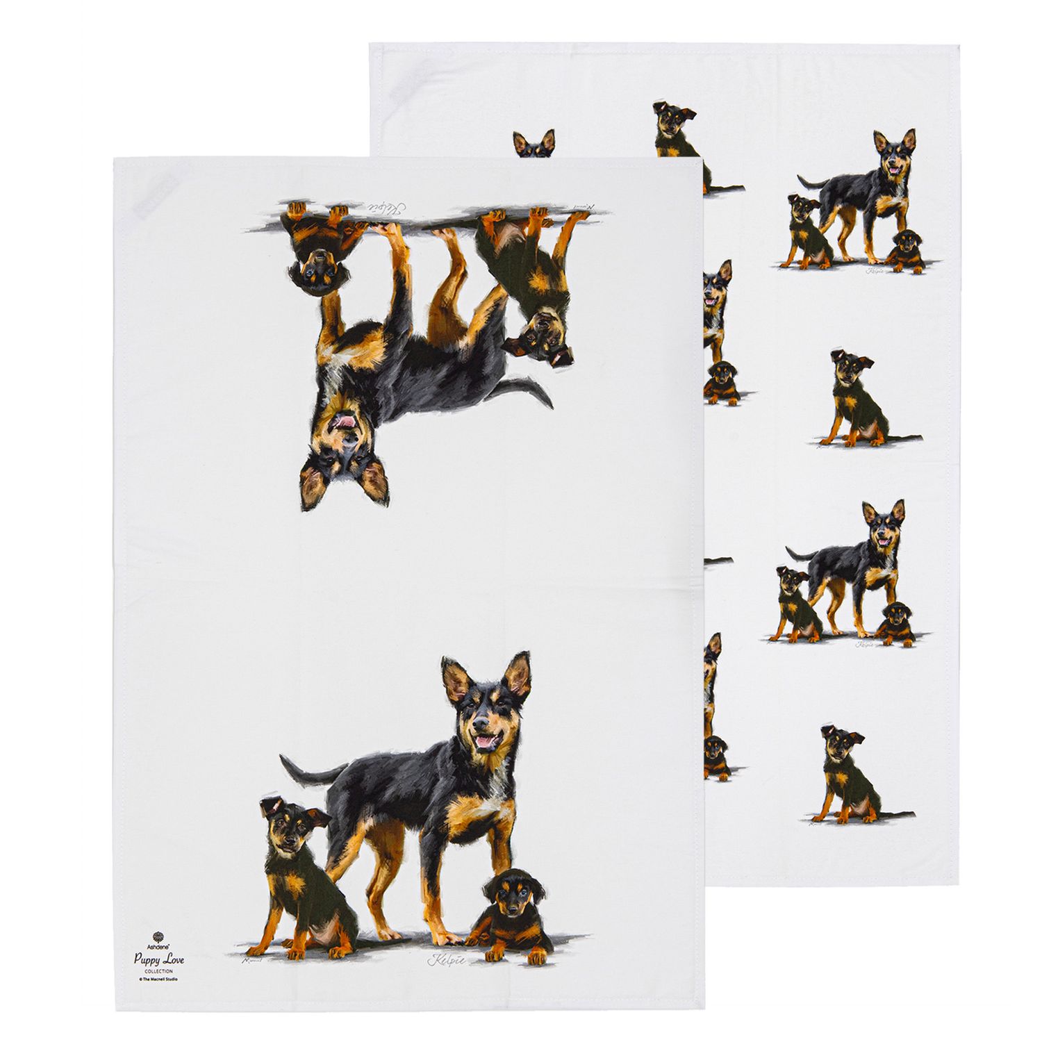 ASHDENE Puppy Love 2pk Kitchen Towel - Kelpie