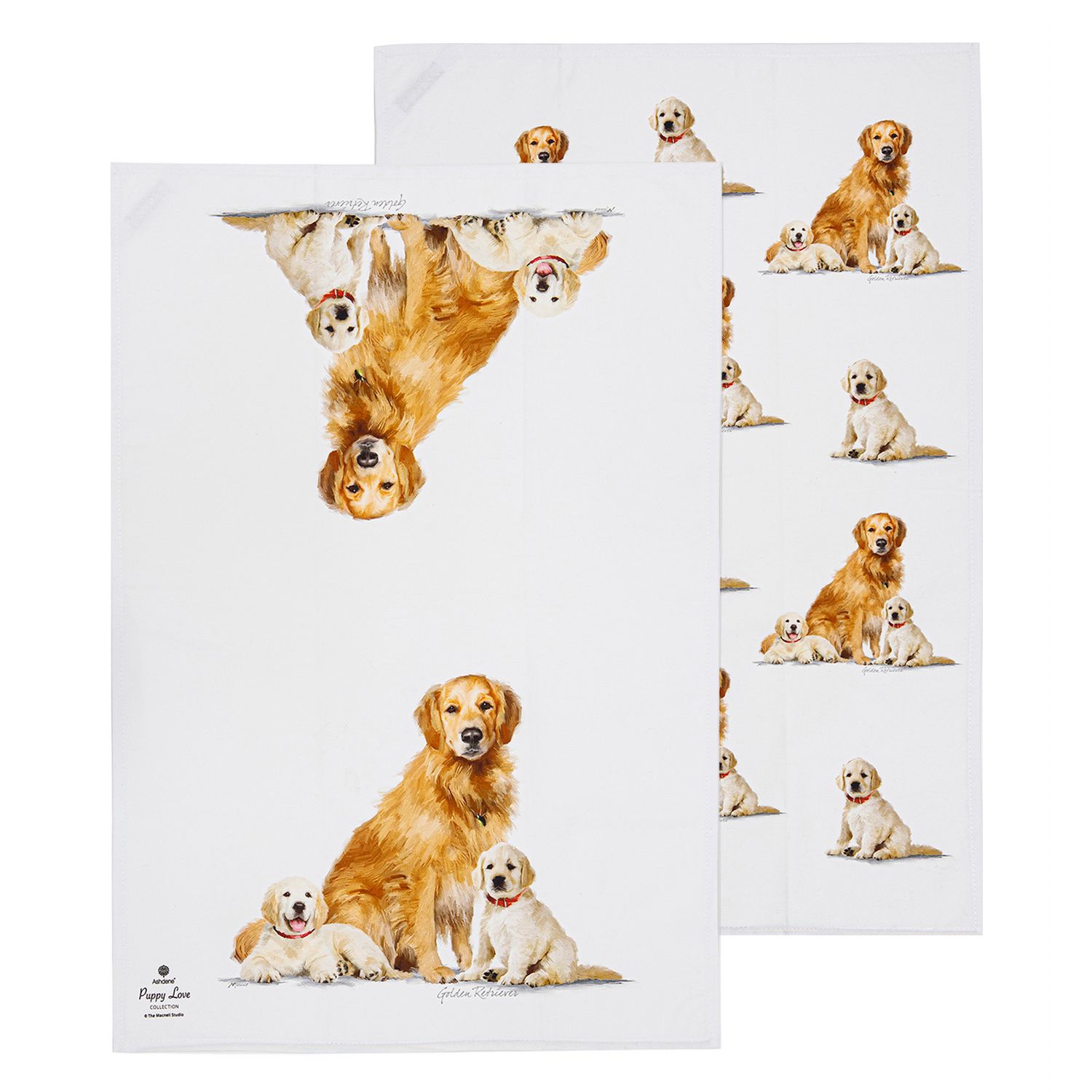 ASHDENE Puppy Love 2pk Kitchen Towel - Golden Retriever