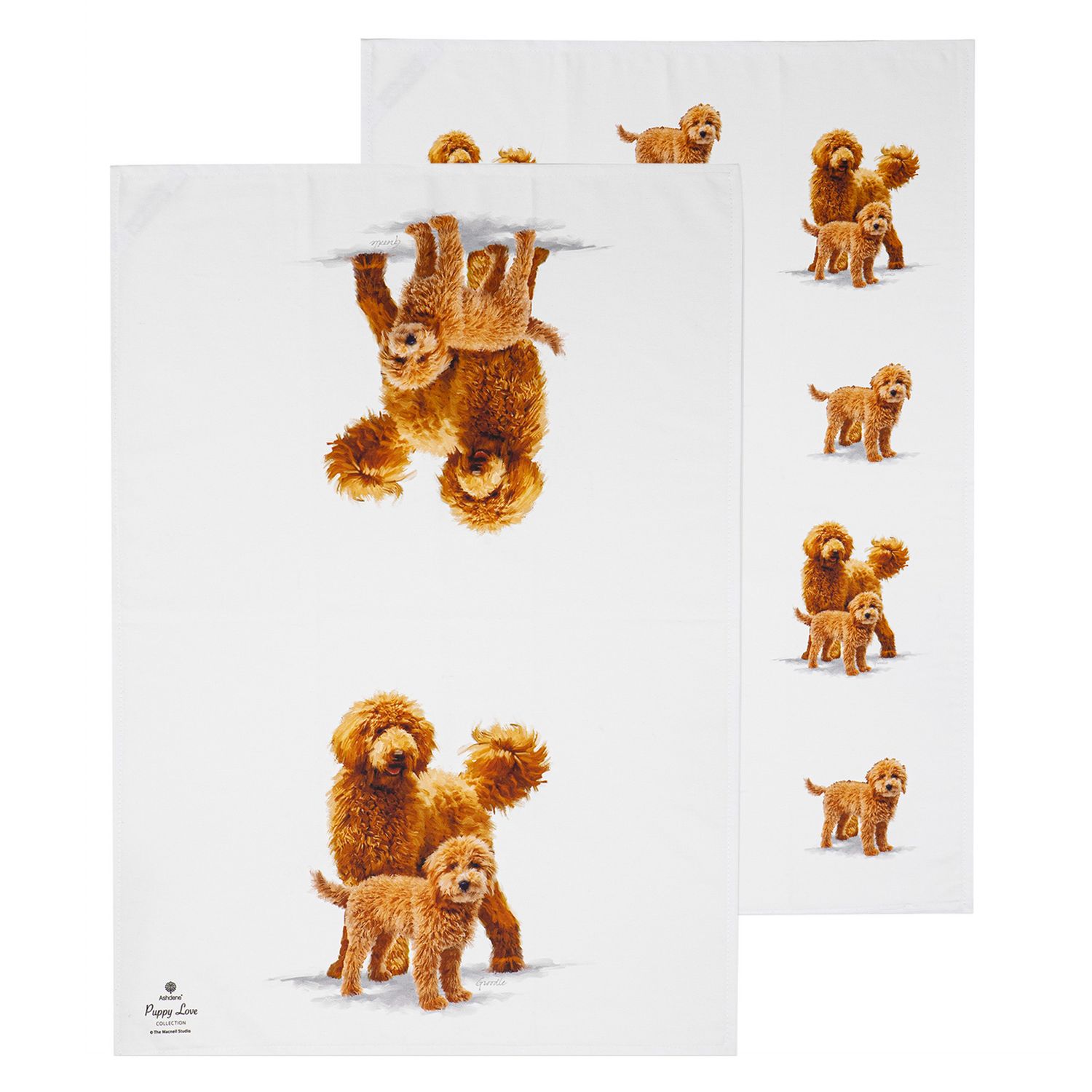 ASHDENE Puppy Love 2pk Kitchen Towel - Groodle