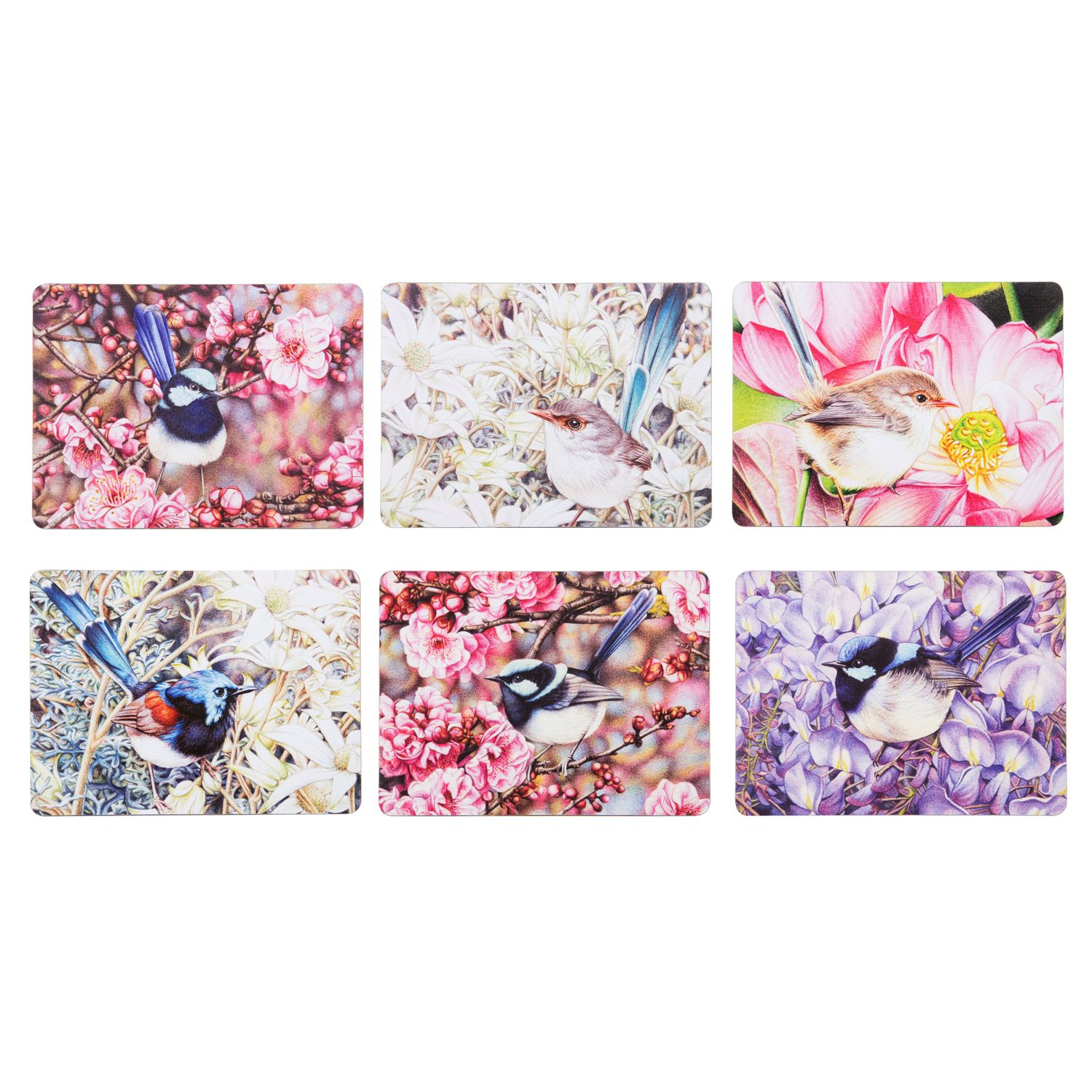 ASHDENE Pretty Little Wren - Placemats 6pk