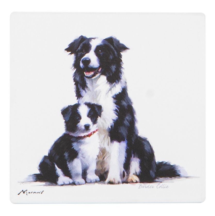 ASHDENE Puppy Love Ceramic Coaster - Border Collie