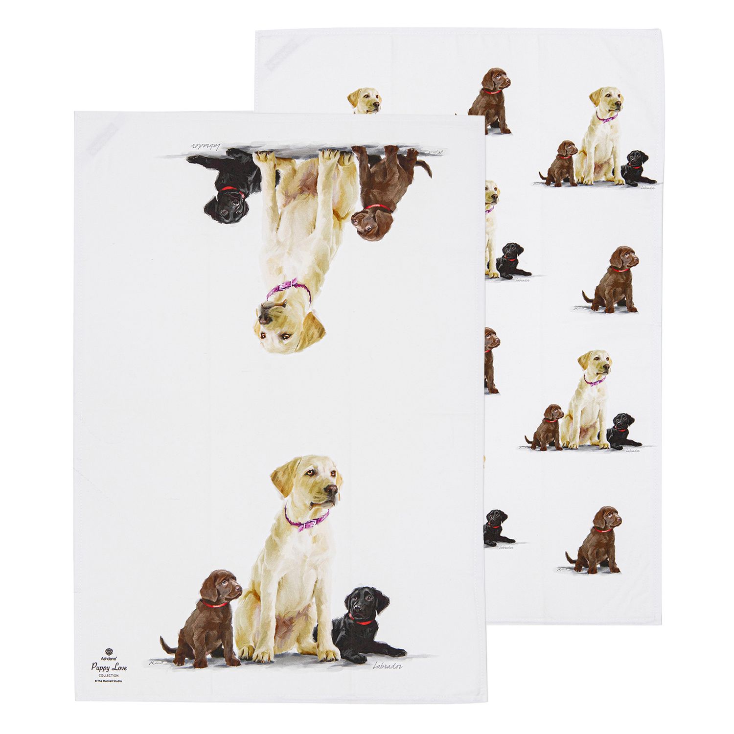 ASHDENE Puppy Love 2pk Kitchen Towel - Labrador