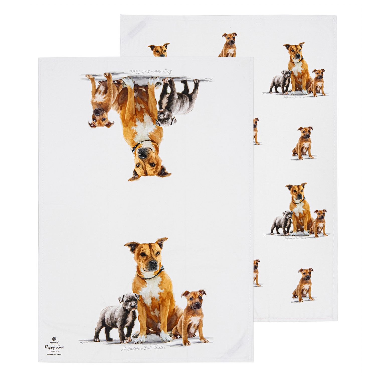 ASHDENE Puppy Love 2pk Kitchen Towel - Staffy Terrier