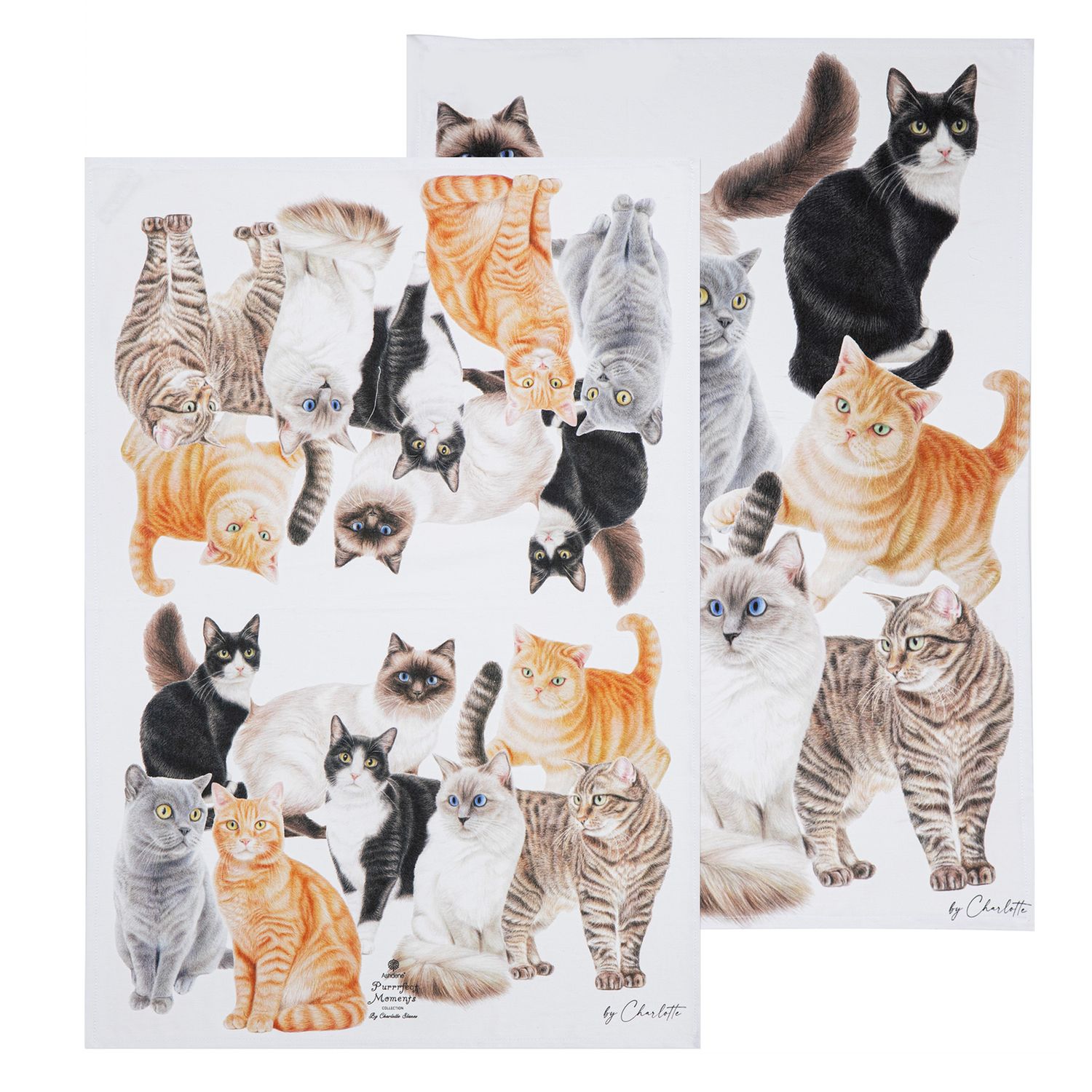 ASHDENE Purrrfect Moments 2pk Kitchen Towel