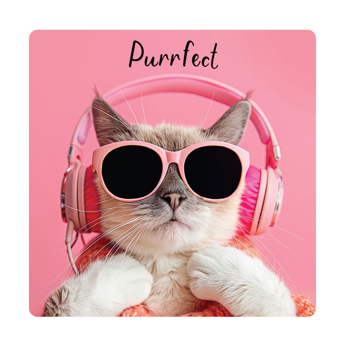 HAMMOND GOWER Magnet - Purrfect