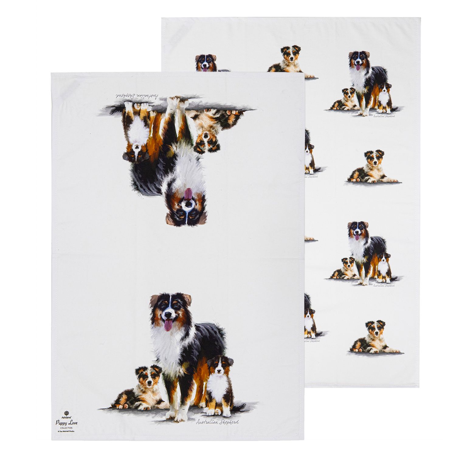 ASHDENE Puppy Love 2pk Kitchen Towel - Australian Shepherd