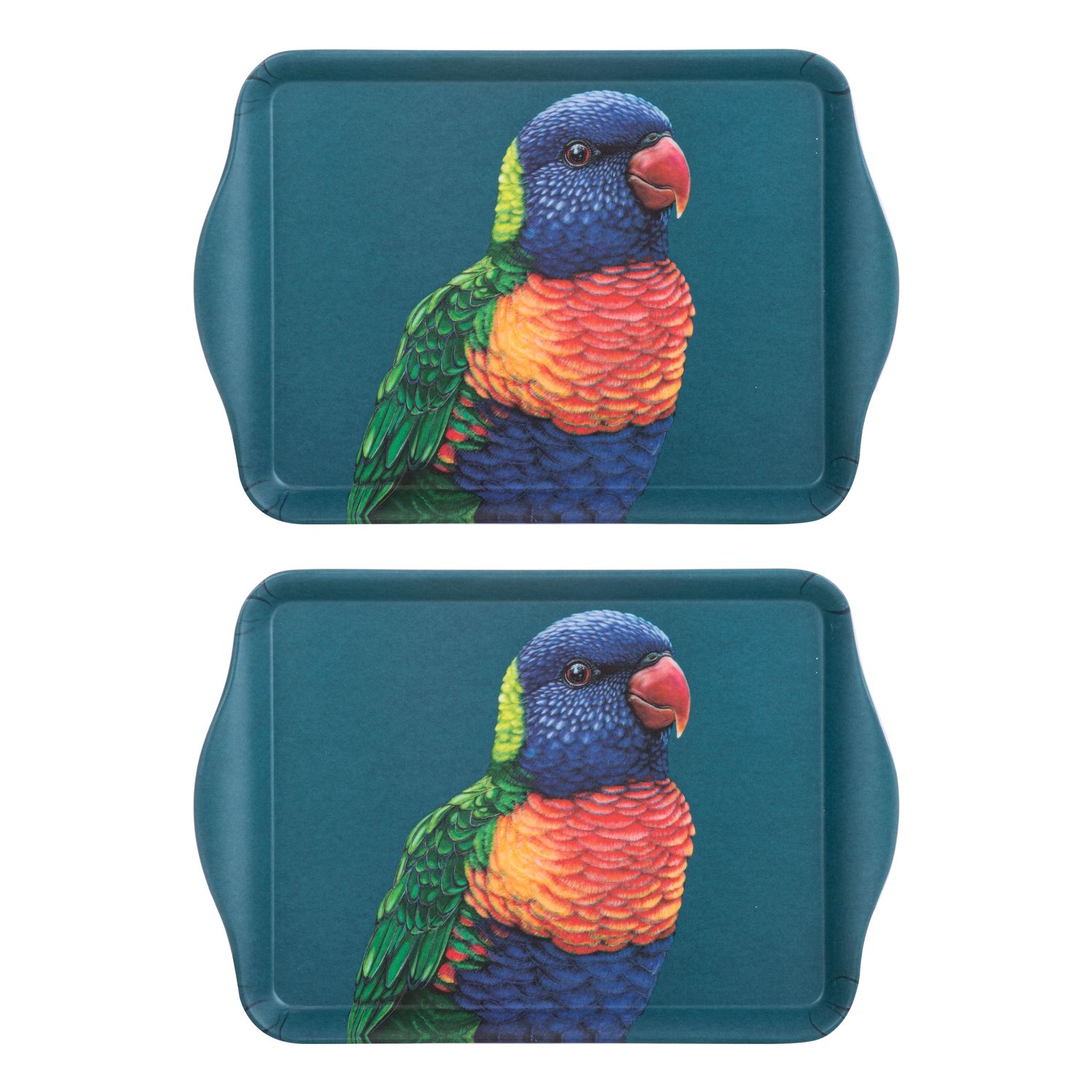 ASHDENE Modern Birds 2pk Scatter Tray - Rainbow Lorikeet