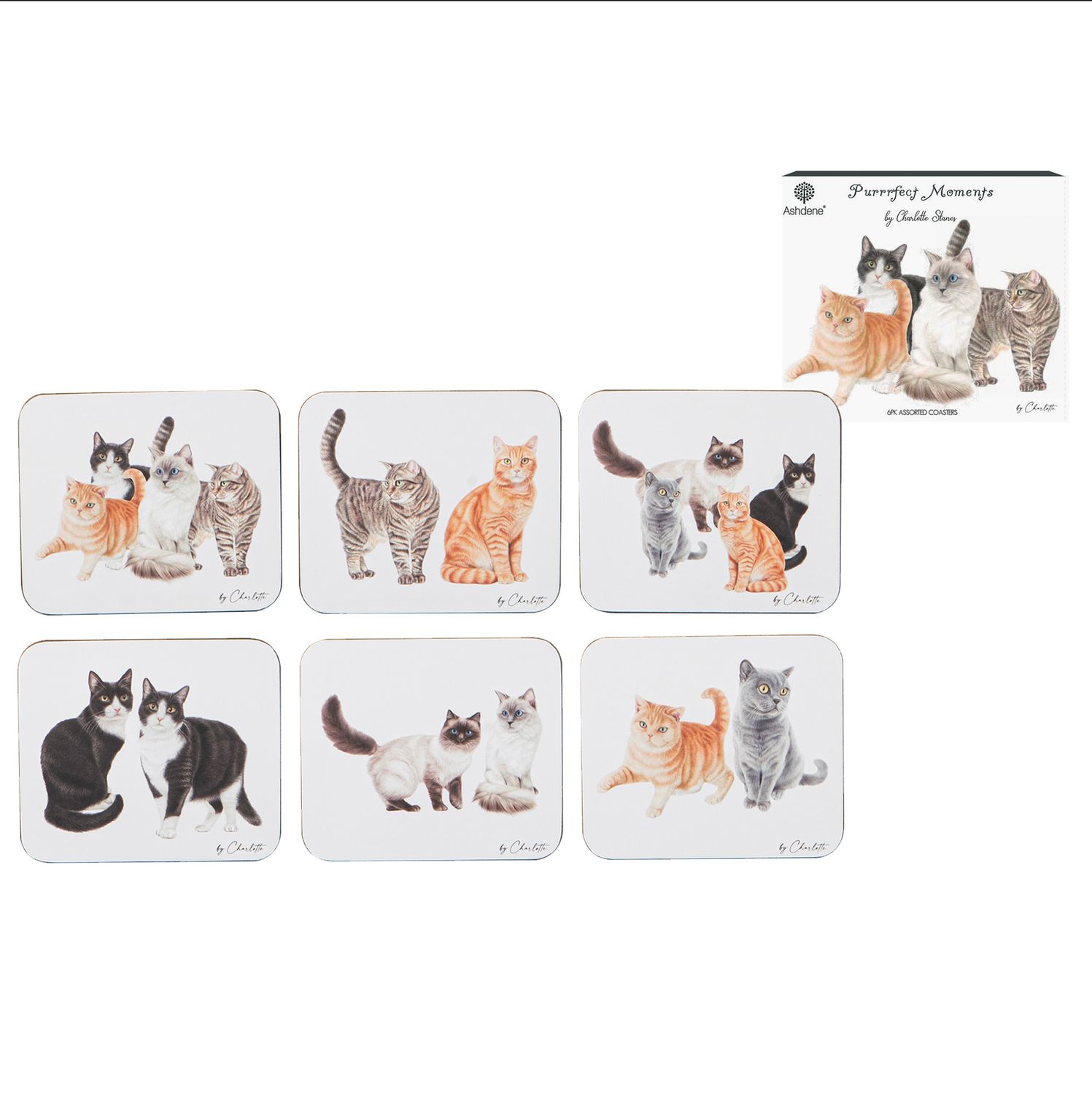 ASHDENE Purrrfect Moments 6pk Coaster