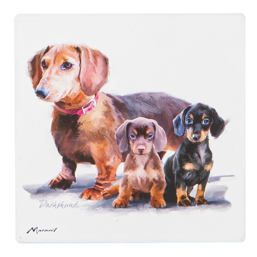 ASHDENE Puppy Love Ceramic Coaster - Dachshund