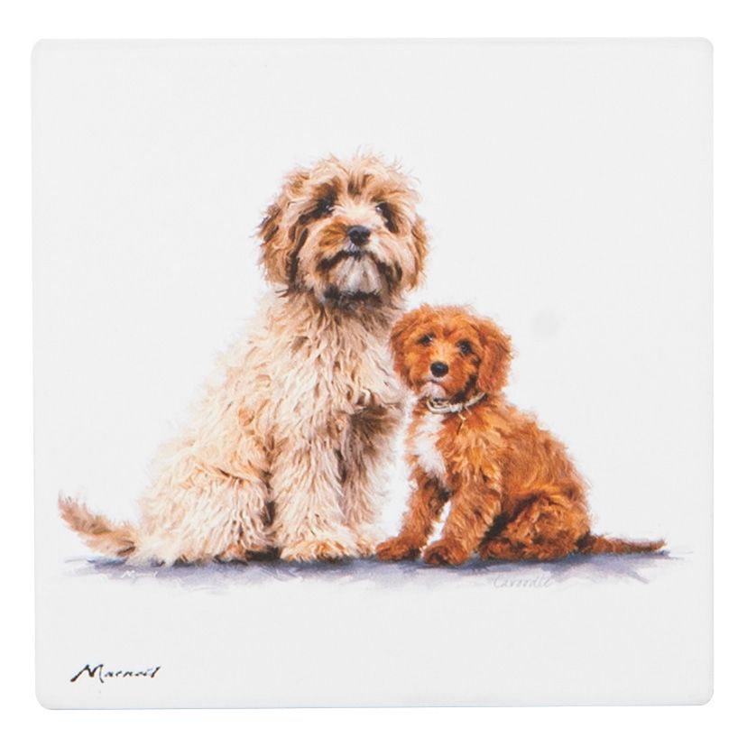 ASHDENE Puppy Love Ceramic Coaster - Cavoodle