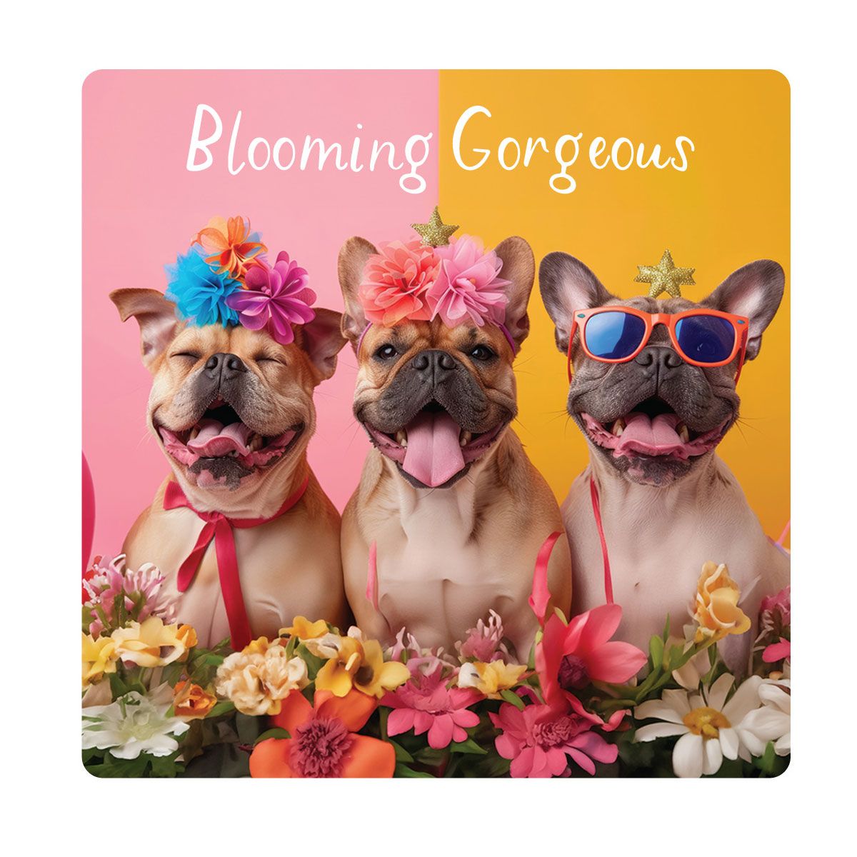 HAMMOND GOWER Magnet - Blooming Gorgeous