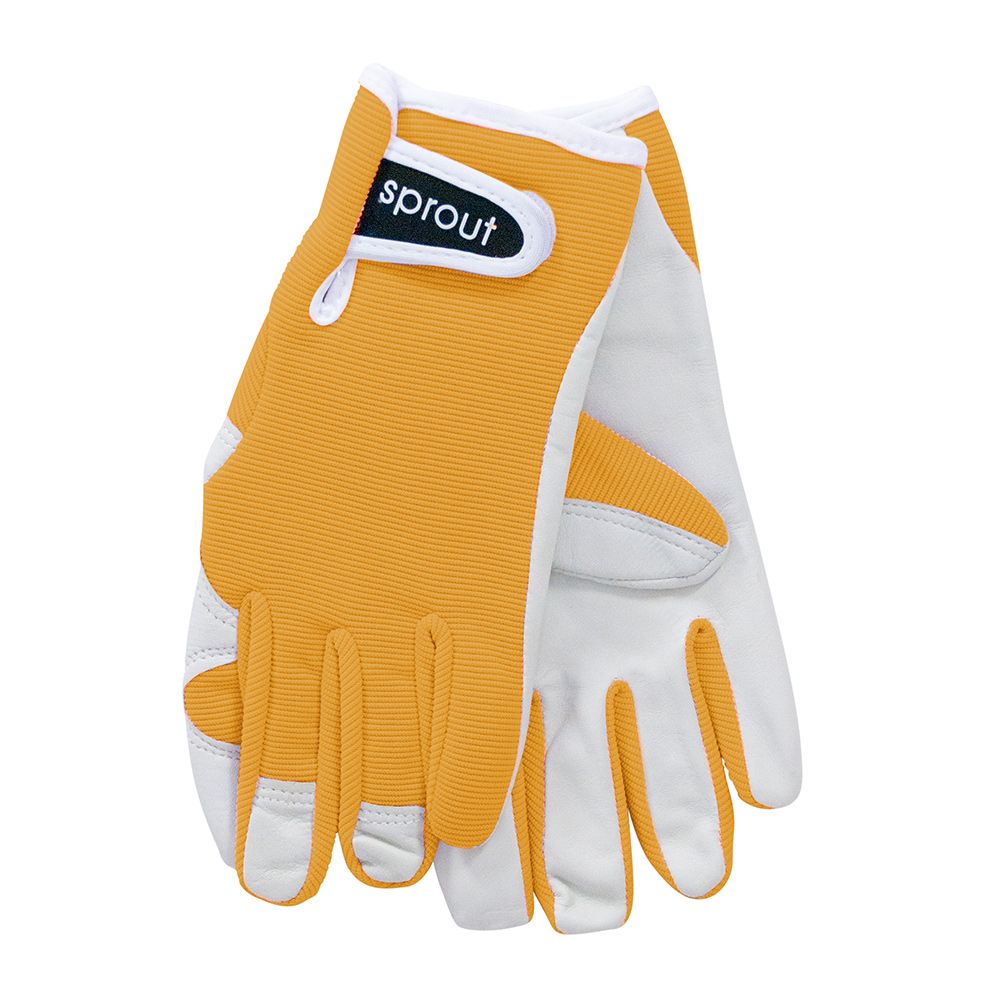 ANNABEL TRENDS Sprout Goatskin Gloves - Mustard - DISC