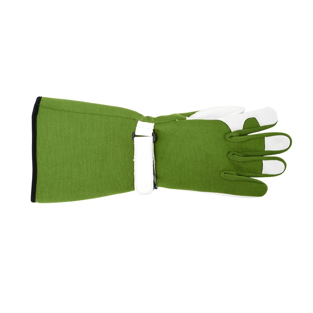ANNABEL TRENDS Sprout Long Sleeve Gloves - Olive