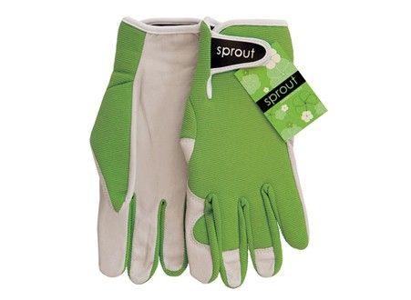ANNABEL TRENDS Sprout Goatskin Gloves - Olive