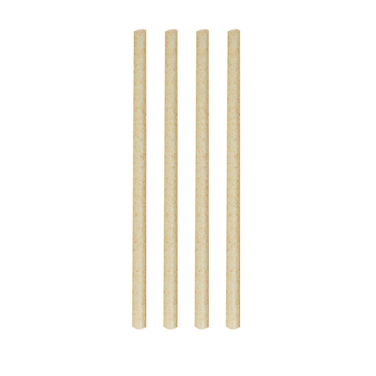 AVANTI Sugar Cane Cocktail Straws, 14cm - Set of 50