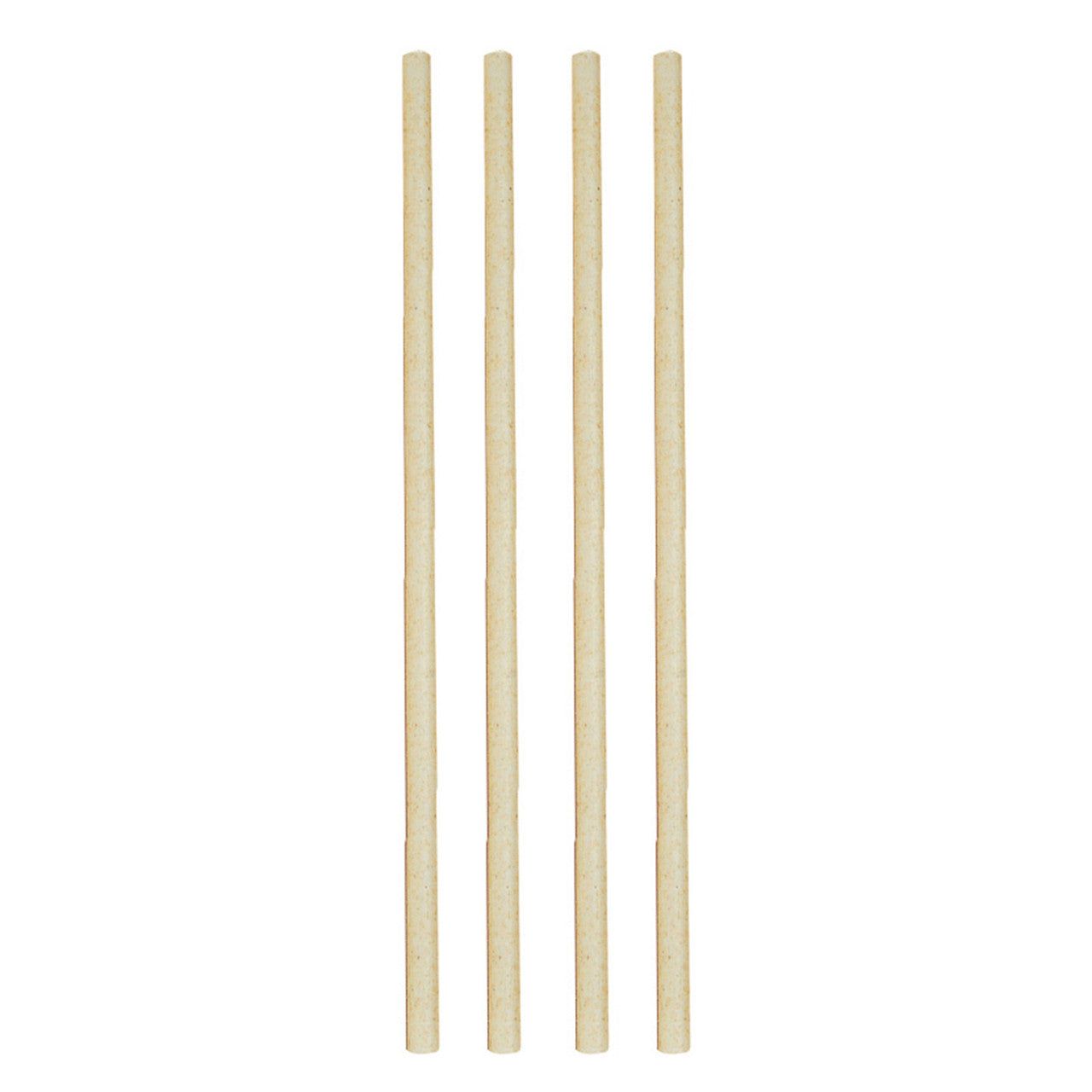 AVANTI Sugar Cane Straws, 23cm - Set of 50