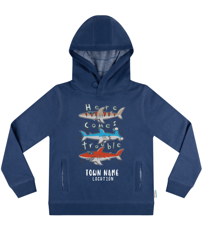 EARTH NYMPH Boys' Hoody - Shadey Trouble - Denim