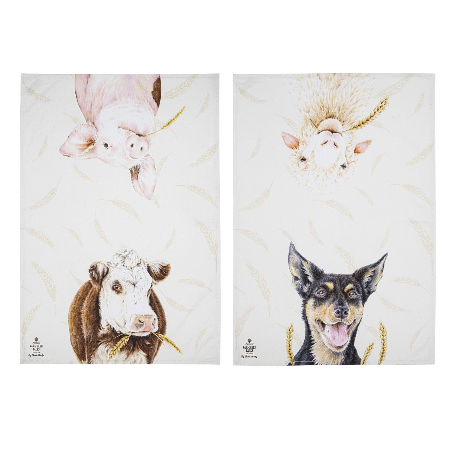 ASHDENE Farmyard Faces 2pk Kitchen Towel