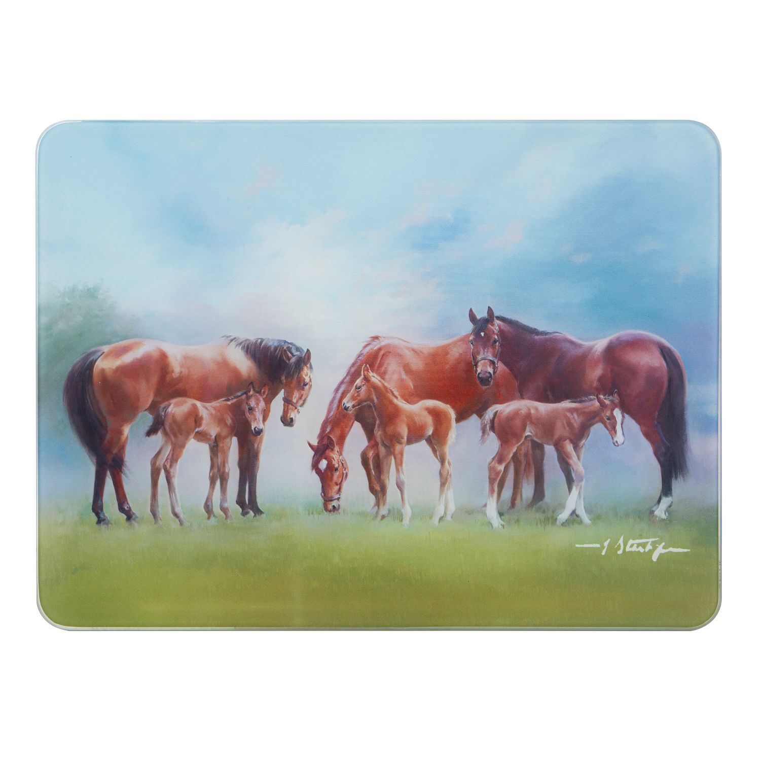 ASHDENE Mares &amp; Foals Paddock Surface Protector