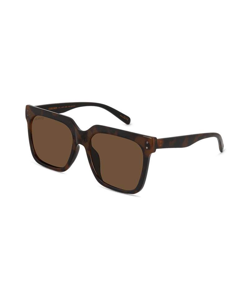 WOLLUMBIN Women's Sunglasses - Currumbin - Tort/Brown