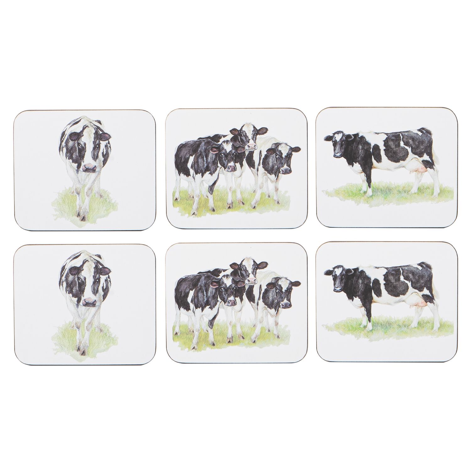ASHDENE Meet The Girls 6pk Coaster
