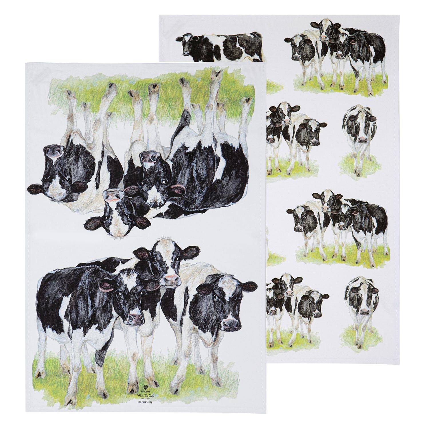 ASHDENE Meet The Girls 2pk Kitchen Towel
