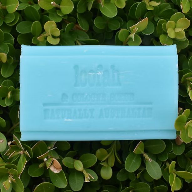 CLOVER FIELDS Loofah Scrub Soap